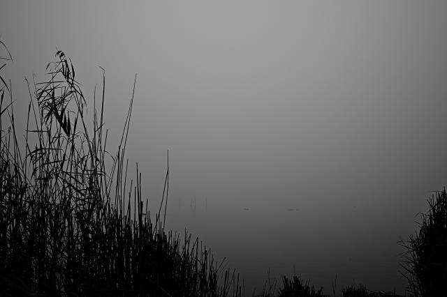 新品)Nikon (ニコン) Z f Z 40mm F2（Special Edition）レンズキット