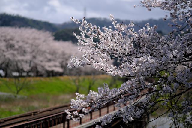 FUJIFILM (フジフイルム) XC13-33mm F3.5-6.3 OIS 新品)FUJIFILM (フジフイルム) X-T30 III XC13-33mmレンズキット