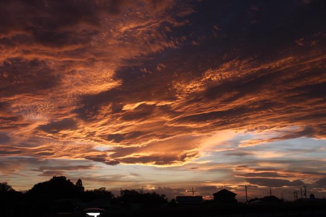 【美品】TAMRON 18-300mm F/3.5-6.3 Di III-A Xマウント TAMRON 18-300mm 高倍率ズームレンズ タムロン、高倍率