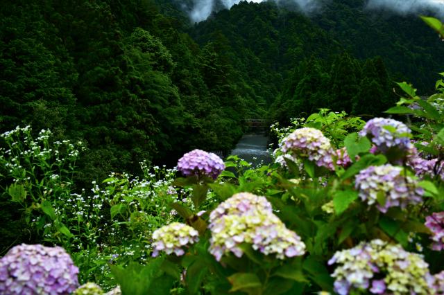 Carl Zeiss (カールツァイス) Milvus 35mm F2 ZF.2（ニコンF用）