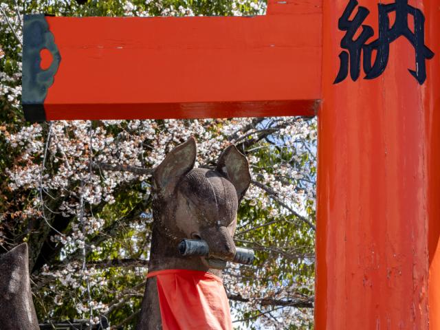 新品)Canon (キヤノン) EOS R50 ダブルズームキット ブラック（商品ID