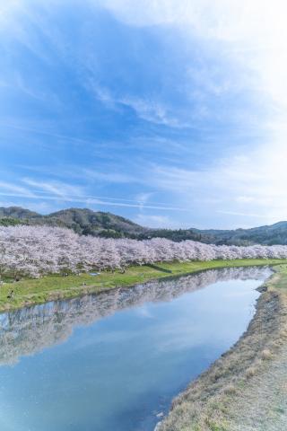 新品)SONY (ソニー) FE 16-35mm F2.8 GM SEL1635GM(商品ID 新品)SONY (ソニー) FE 16-35mm F2.8 GM SEL1635GM(商品ID