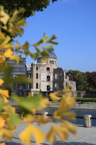 レンズ(ズーム) SONY FE 24-240mm F3.5-6.3 OSS 新品)Nikon (ニコン) Z50II ダブルズームキット（商品ID