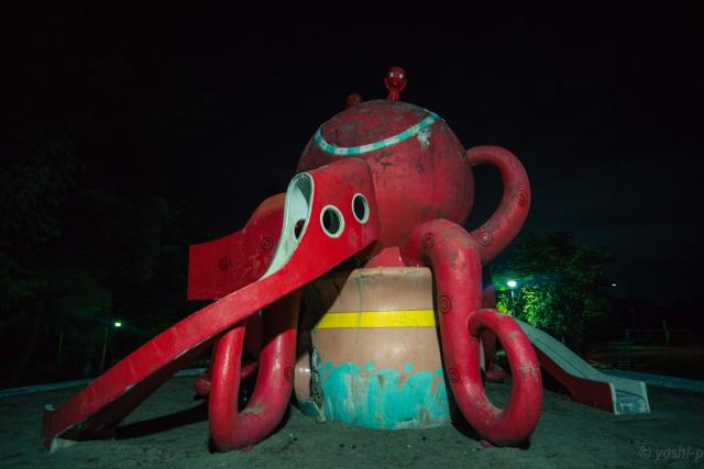 新品)Voigtlander (フォクトレンダー) COLOR-SKOPAR Vintage Line 21mm