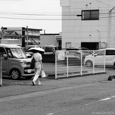 新品)Panasonic (パナソニック) LUMIX S5IIX ダブルレンズキット