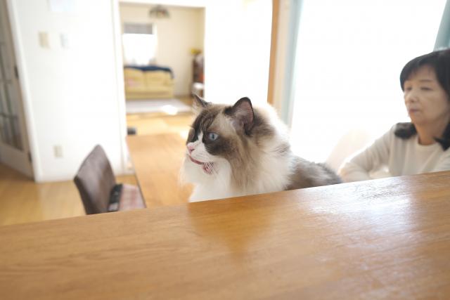 batis 25mm 限定セール Amazon.co.jp: Carl Zeiss 単焦点レンズ Batis 2/25 Eマウント