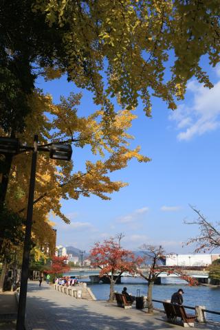 新品)Canon (キヤノン) EOS R6 Mark II RF24-105 IS STMレンズキット