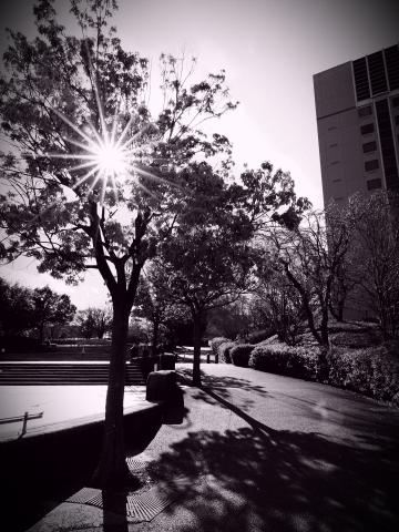 新品)OM SYSTEM（オーエムシステム） OM-3 12-45mm F4.0 PRO レンズ