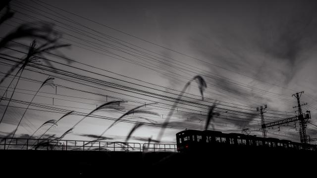 新品)Nikon (ニコン) Z5II 24-200 レンズキット（商品ID