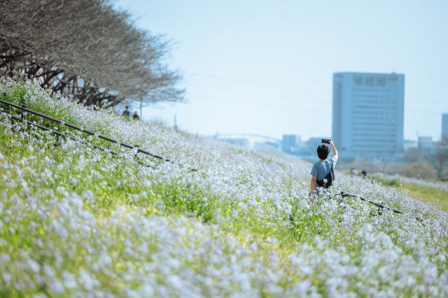 新品)Canon (キヤノン) EOS R6 Mark II RF24-105 IS STMレンズキット