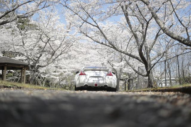 詳細ページ | デジタルカメラ、ミラーレスカメラ、交換レンズの 詳細ページ | デジタルカメラ、ミラーレスカメラ、交換レンズの