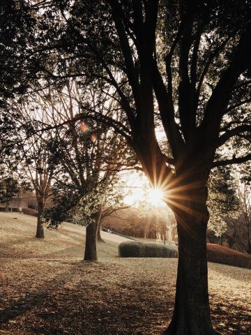 新品)OM SYSTEM（オーエムシステム） OM-3 12-45mm F4.0 PRO +