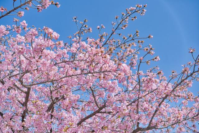 新品)FUJIFILM (フジフイルム) X-M5 XC15-45mmレンズキット シルバー