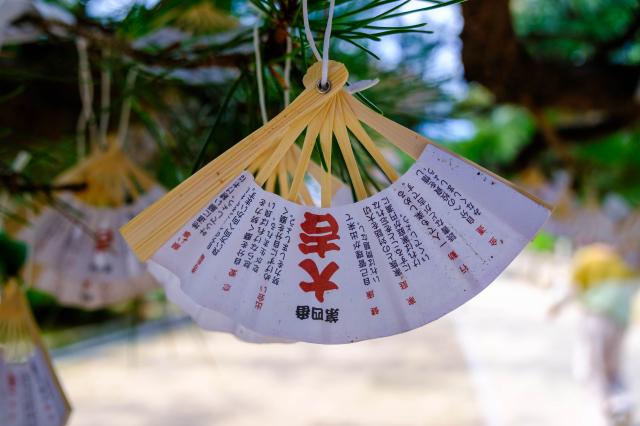 SONY 18-250mm f/3.5-6.3 ズームレンズ 新品)TAMRON (タムロン) 11-20mm F2.8 Di III-A RXD/Model B060X