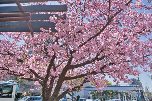 新品)FUJIFILM (フジフイルム) X-M5 XC15-45mmレンズキット シルバー