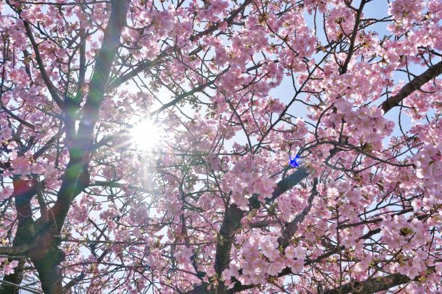 新品)FUJIFILM (フジフイルム) X-M5 XC15-45mmレンズキット シルバー