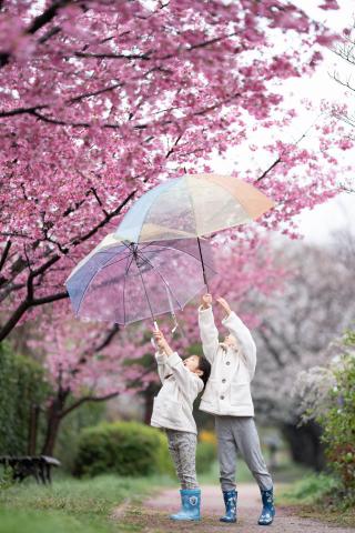 新品)SONY (ソニー) FE 135mm F1.8 GM SEL135F18GM（商品ID