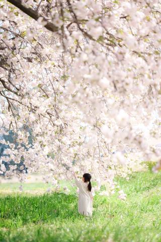 【美品】SONY　GM135mm FE 135mm F1.8 GM | デジタル一眼カメラα（アルファ） | ソニー