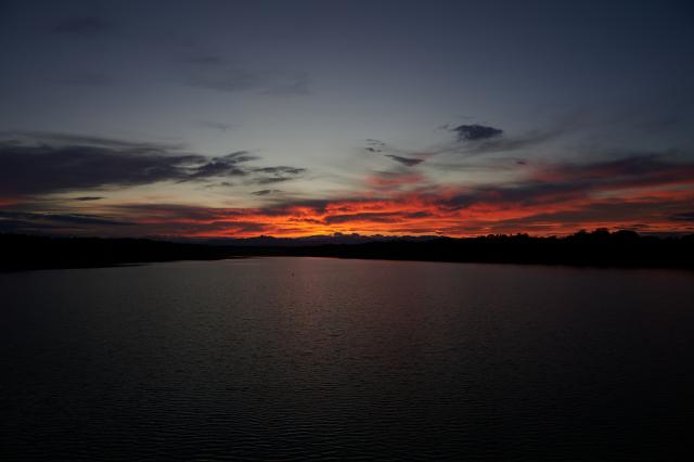 新品)Nikon (ニコン) NIKKOR Z 24-70mm F2.8 S II（商品ID