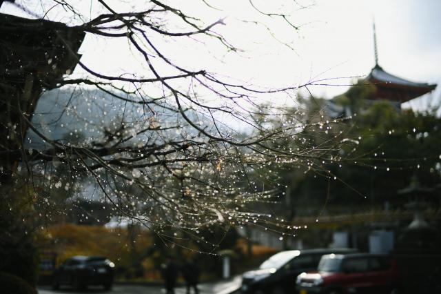 新品)Voigtlander (フォクトレンダー) NOKTON 40mm F1.2 新品)Voigtlander (フォクトレンダー) NOKTON 40mm F1.2