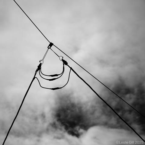 【ほぼ新品】SIGMA　シグマ 16-300mm F3.5-6.7 DC OS l.jpg