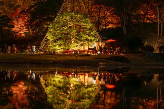 新品)Nikon (ニコン) NIKKOR Z 135mm F1.8 S Plena（商品ID