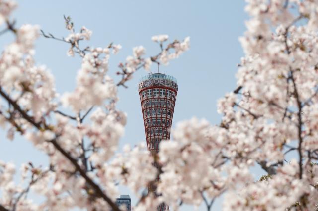 フィルター付FUJIFILM XF16-50mmF2.8-4.8 R LM WR 新品)FUJIFILM (フジフイルム) X-T5 XF16-50mmレンズキット