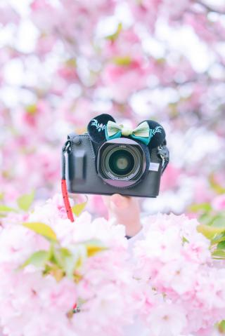 新品)Nikon (ニコン) Z f Z 40mm F2（Special Edition）レンズ
