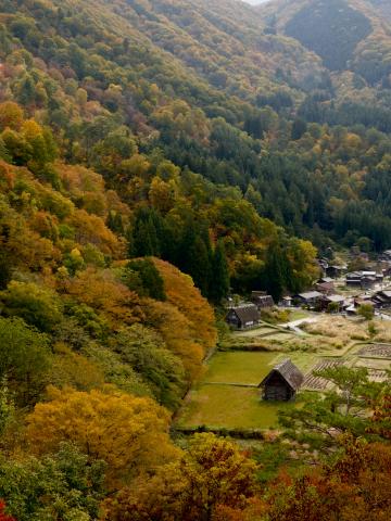 新品　SONY E 18-135mm F3.5-5.6 OSS SEL18135 新品)SONY (ソニー) α6700 高倍率ズームレンズキット ILCE-6700M