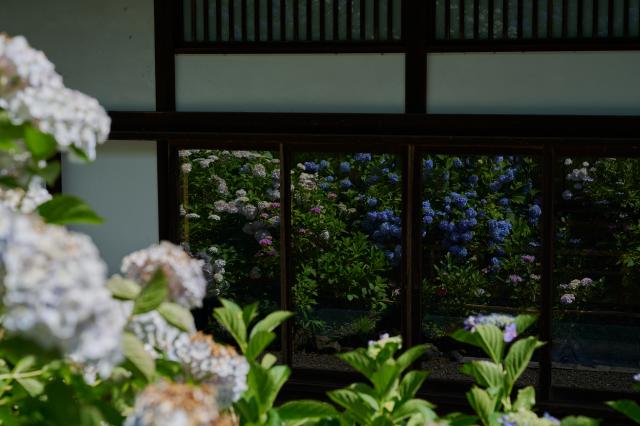 新品)TAMRON (タムロン) 28-75mm F2.8 Di III VXD G2 / Model A063Z