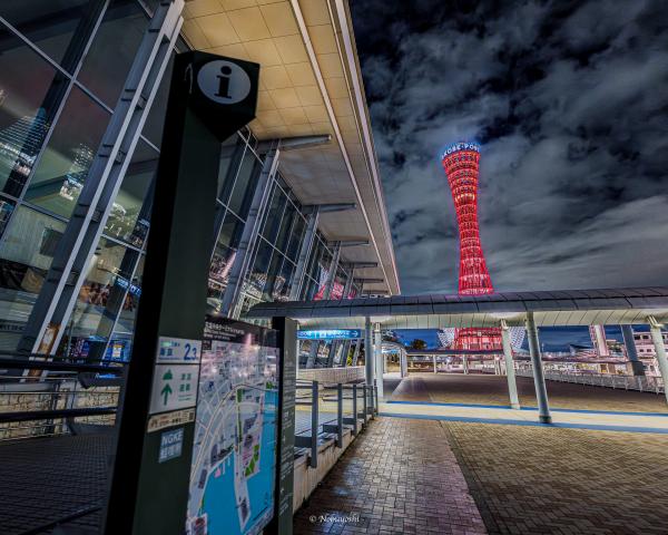 新品)SIGMA (シグマ) Contemporary 16-28mm F2.8 DG DN (ソニーE用