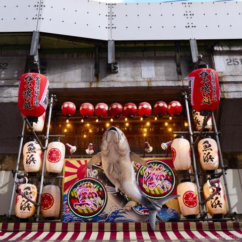 新品)Panasonic (パナソニック) LUMIX S5IIX 標準ズームレンズキット