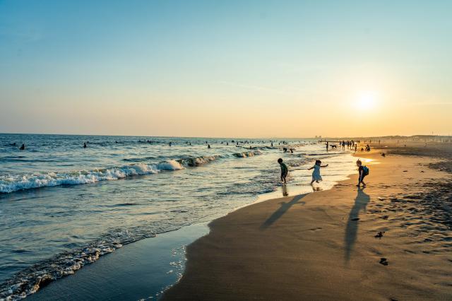 新品)TAMRON (タムロン) 17-50mm F4 Di III VXD / Model A068S（ソニー