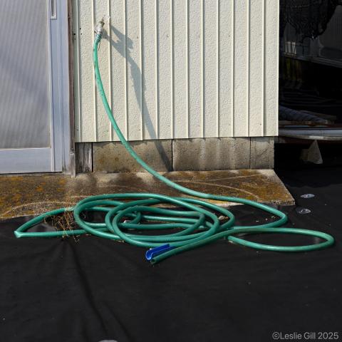 [未使用]SIGMA ズームレンズ　12-24mm F4.5-5.6 ii DG 新品)Panasonic (パナソニック) LUMIX S5IIX ダブルレンズキット