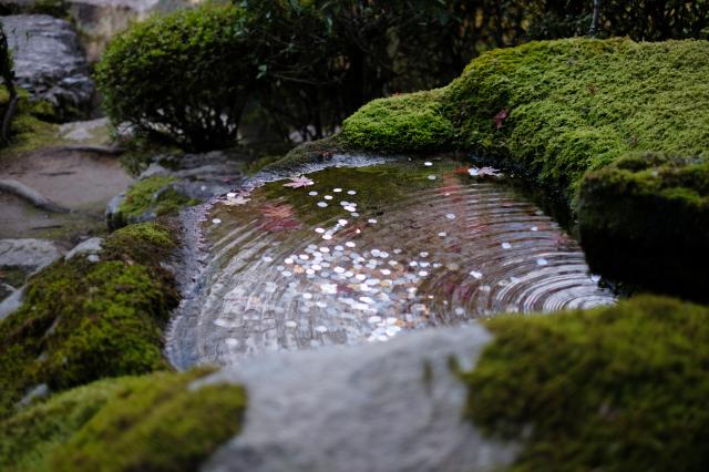 新品)FUJIFILM (フジフイルム) X-T30 III XC13-33mmレンズキット