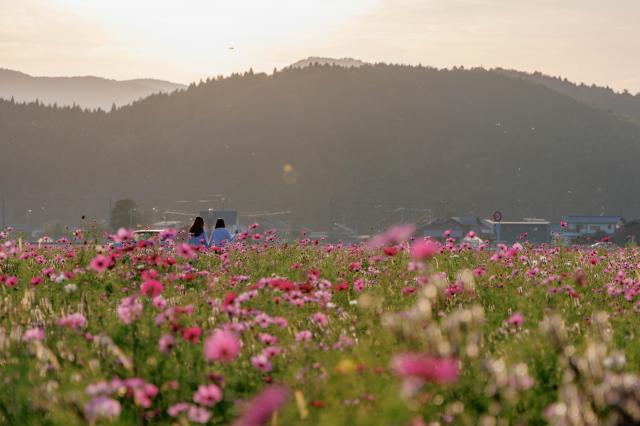 新品)Canon (キヤノン) EOS R7 RF-S18-150 IS STM レンズキット