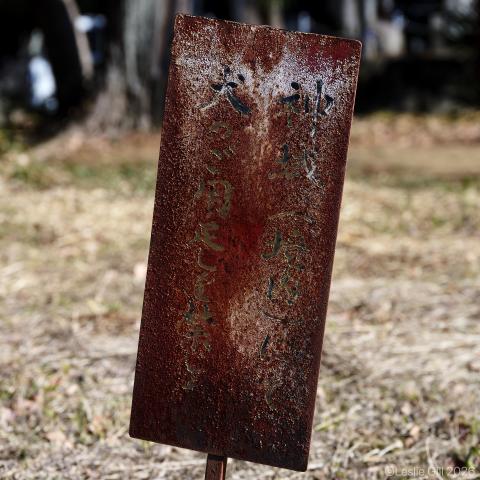 新品)Nikon (ニコン) Z5II 24-50 レンズキット（商品ID：4960759920300