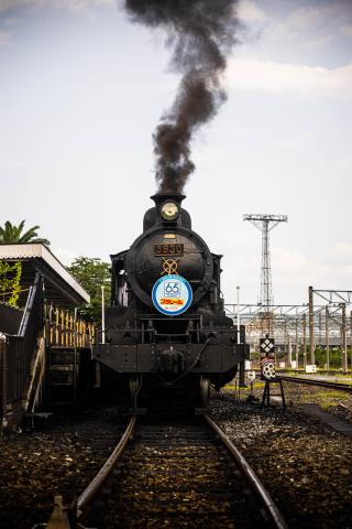 SIGMA - NIKON用 SIGMA 17-70mm F2.8-4 DC MACRO 新品)SIGMA (シグマ) Contemporary 18-50mm F2.8 DC DN