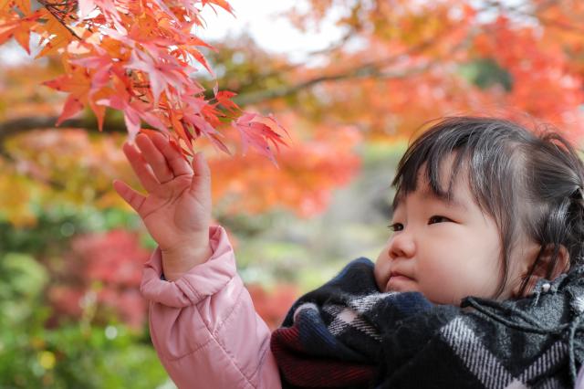 新品 Sigma シグマ 17 50mm F2 8 Ex Dc Os Hsm キヤノンef用 商品id 詳細ページ デジタルカメラ ミラーレスカメラ 交換レンズの総合サイト マップカメラ