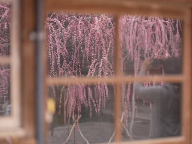 FUJIFILM (フジフイルム) フジノン GF110mm F2 R LM WR