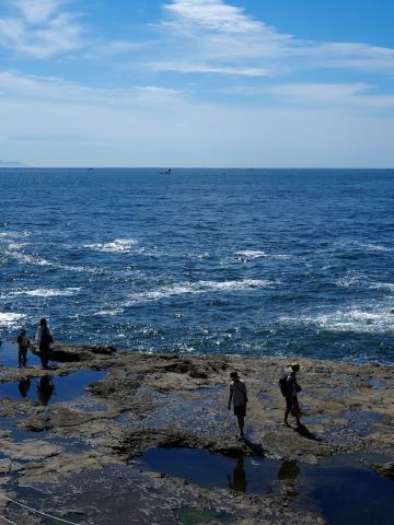 レンズ(ズーム) SONY E 70-350mm F4.5-6.3 G OSS SEL70350G 新品)SONY (ソニー) VLOGCAM ZV-E10 II ダブルズームレンズキット ZV