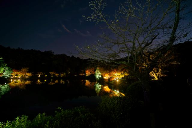 新品)Nikon (ニコン) Z5II 24-200 レンズキット（商品ID