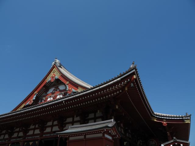 レンズ(ズーム) OLYMPUS M.ZUIKO DIGITAL 14-42mm f3.5-5.6 新品)OM SYSTEM（オーエムシステム） OM-5 Mark II 14-150mm II