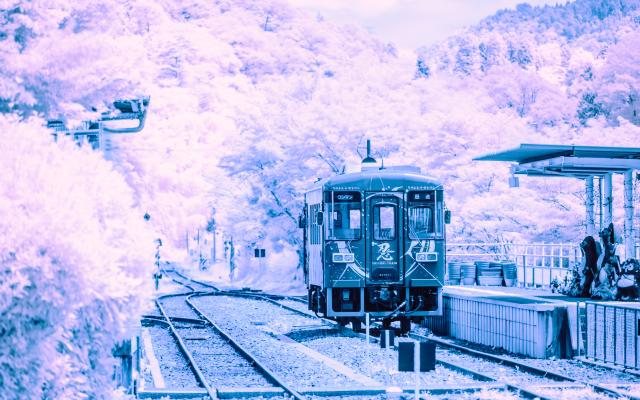 レンズ(ズーム) SONY E 55-210mm F4.5-6.3 OSS 新品)TAMRON (タムロン) 50-400mm F4.5-6.3 Di III VC VXD / Model