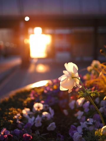 新品)OM SYSTEM（オーエムシステム） OM-3 12-45mm F4.0 PRO +