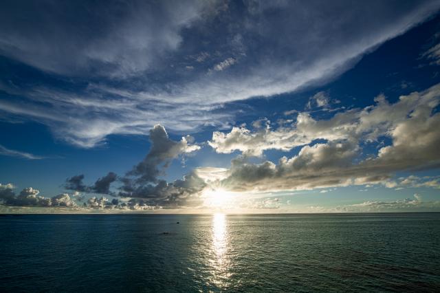 新品)Carl Zeiss (カールツァイス) Milvus 15mm F2.8 ZF.2（ニコンF用