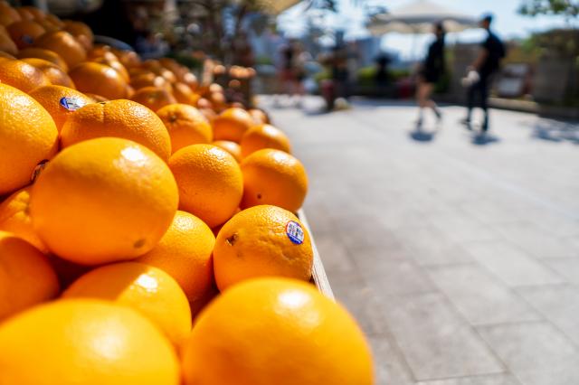 ほぼ未使用　SEL15F14G SONY E 15mm F1.4 G SEL15F14G オークション比較 - 価格.com