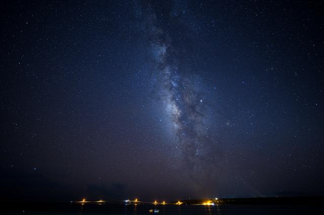 新品)Carl Zeiss (カールツァイス) Milvus 15mm F2.8 ZF.2（ニコンF用