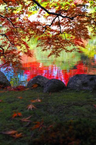 新品)OM SYSTEM（オーエムシステム） OM-5 Mark II 12-45mm F4.0 PRO