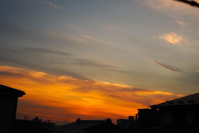 新品)SONY (ソニー) Vario-Tessar T* FE 24-70mm F4 ZA OSS SEL2470Z